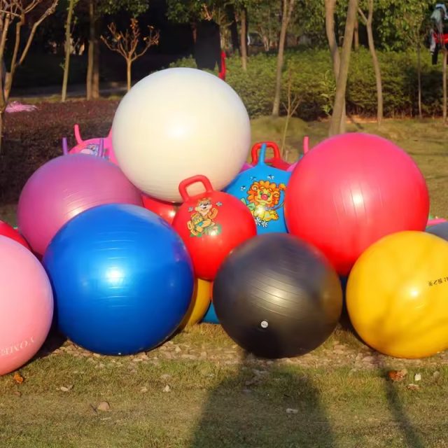 Printed Sports Fitness Yoga Ball (4)